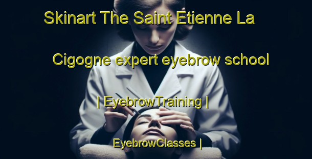 Skinart The Saint Etienne La Cigogne expert eyebrow school | EyebrowTraining | EyebrowClasses | SkinartTraining-France